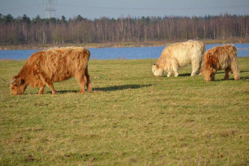 Hotel Auberge De Moerse Hoeve Zewnętrze zdjęcie