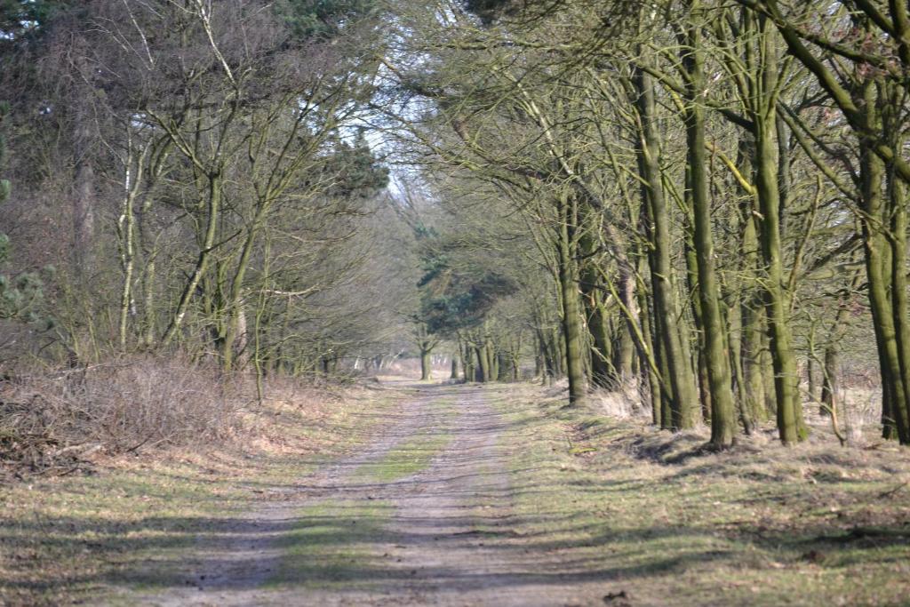 Hotel Auberge De Moerse Hoeve Zewnętrze zdjęcie