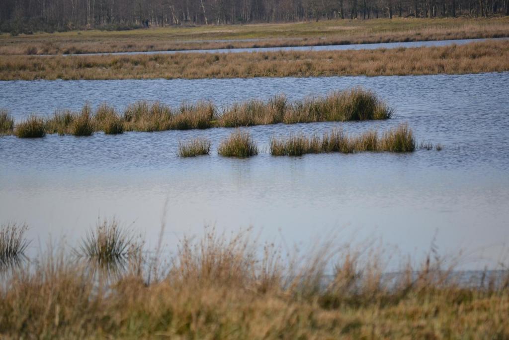 Hotel Auberge De Moerse Hoeve Zewnętrze zdjęcie